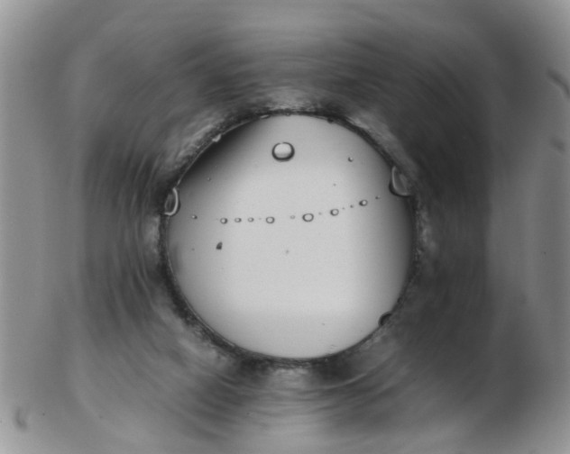 X0000103270066200809122145