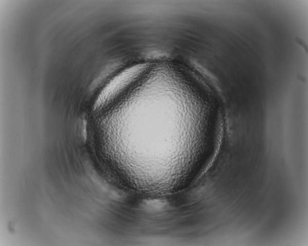 X0000103270067200809122145