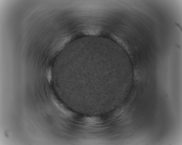 X0000103270069200809122145
