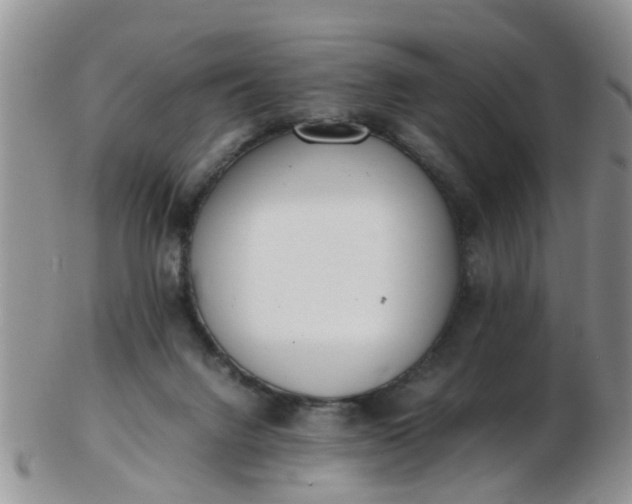 X0000103270072200809122145