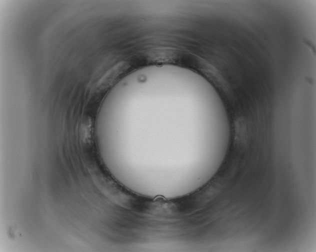X0000103270073200809122145