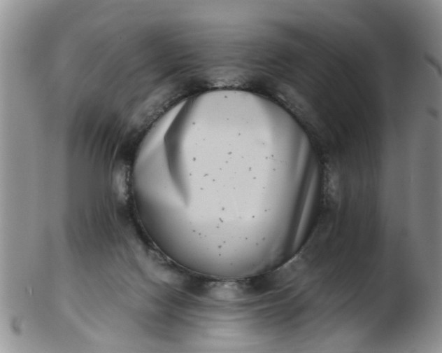 X0000103270074200809122145