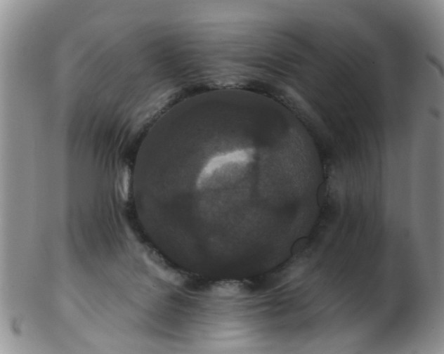 X0000103270076200809122145