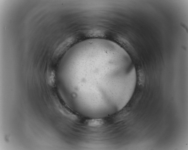 X0000103270077200809122145