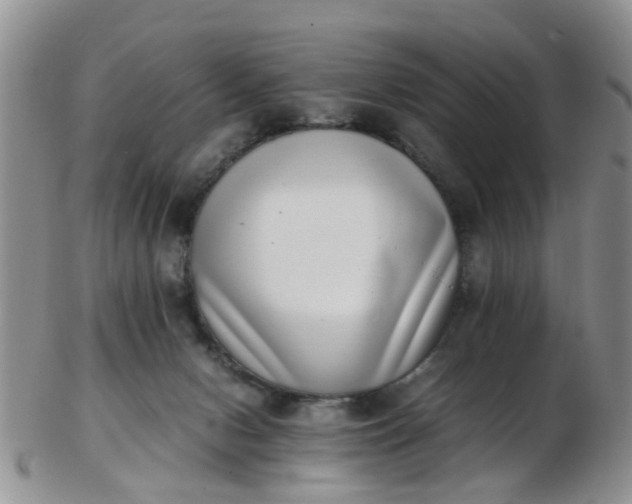 X0000103270078200809122145