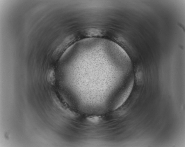 X0000103270079200809122145