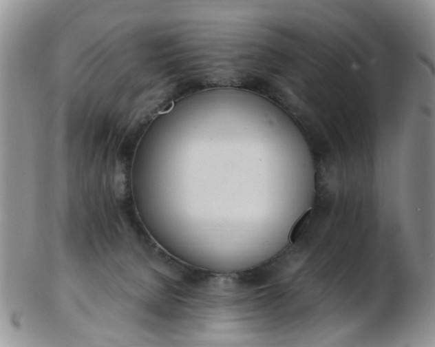 X0000103270080200809122145