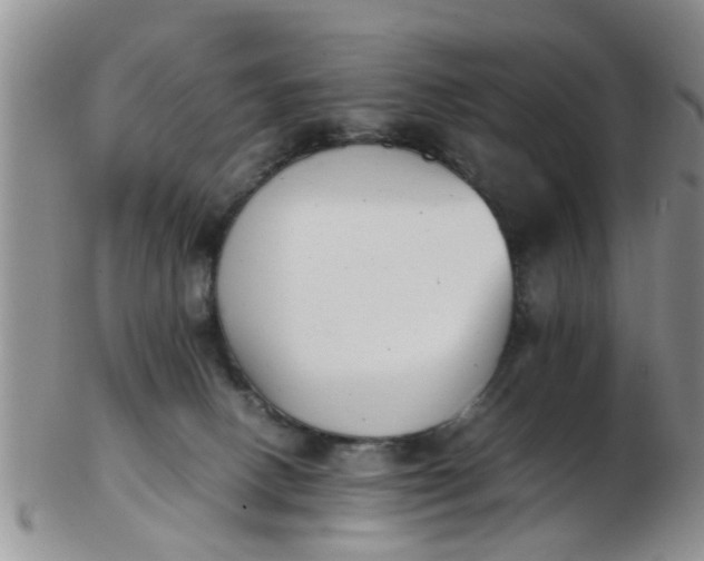 X0000103270082200809122145