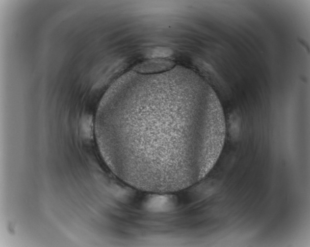 X0000103270083200809122145