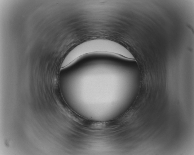 X0000103270084200809122145