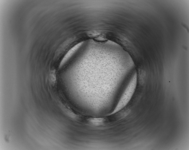 X0000103270085200809122145