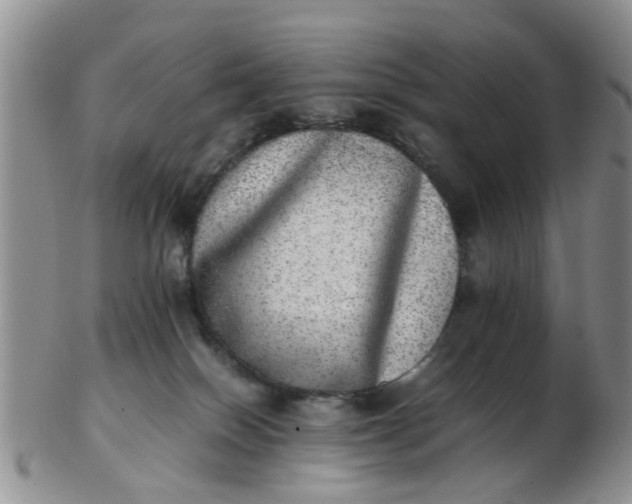 X0000103270086200809122145