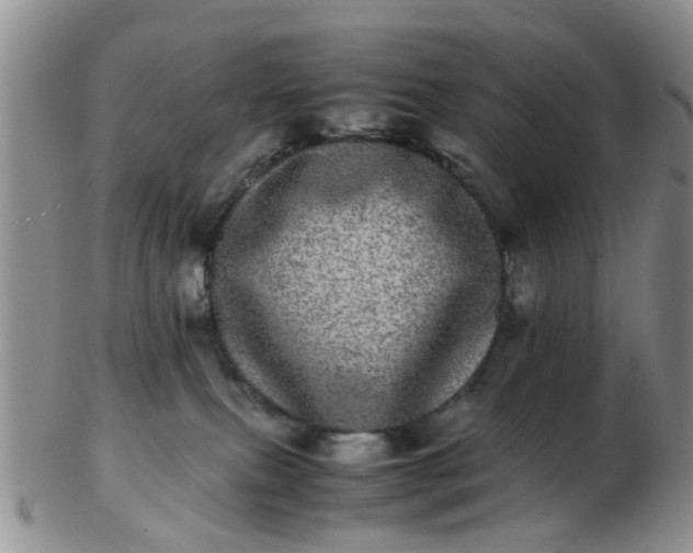 X0000103270087200809122145