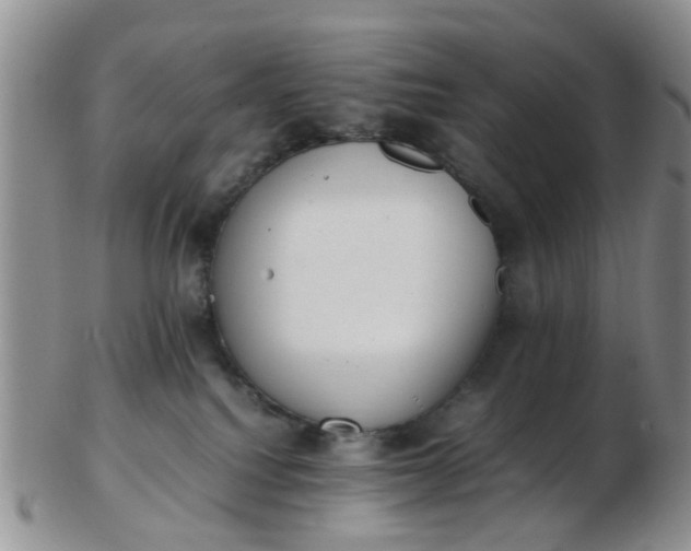X0000103270088200809122145