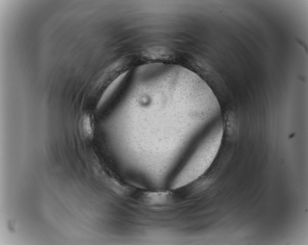 X0000103270089200809122145