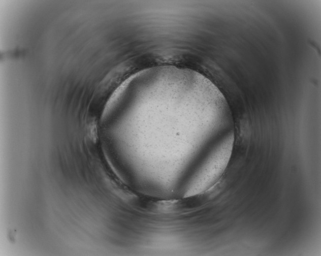 X0000103270090200809122146