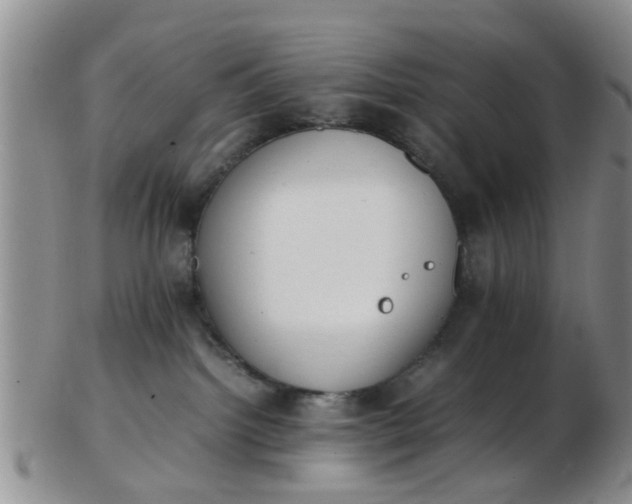 X0000103270092200809122146