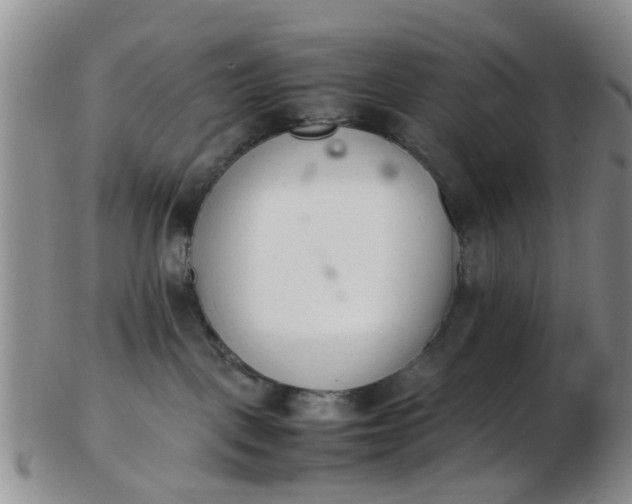 X0000103270093200809122146