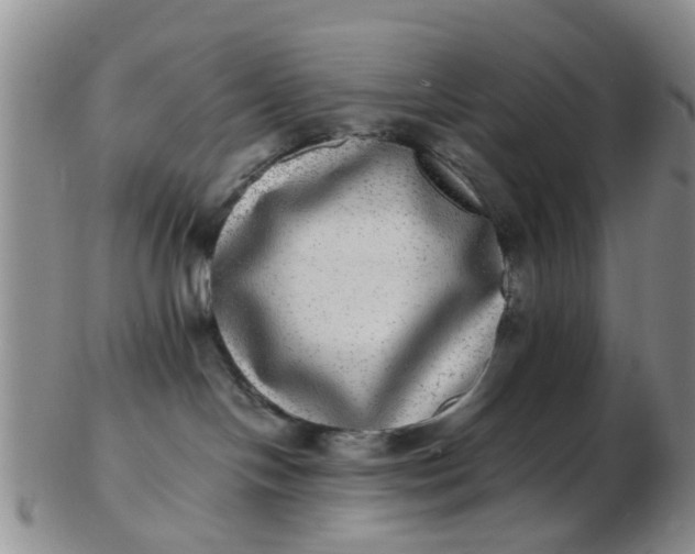 X0000103270094200809122146