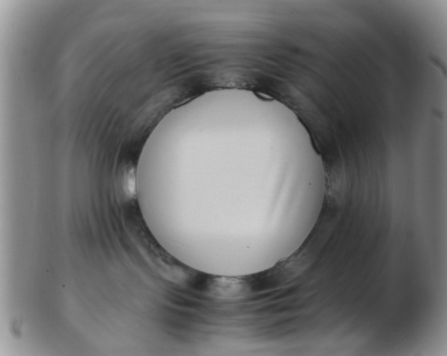 X0000103270095200809122146