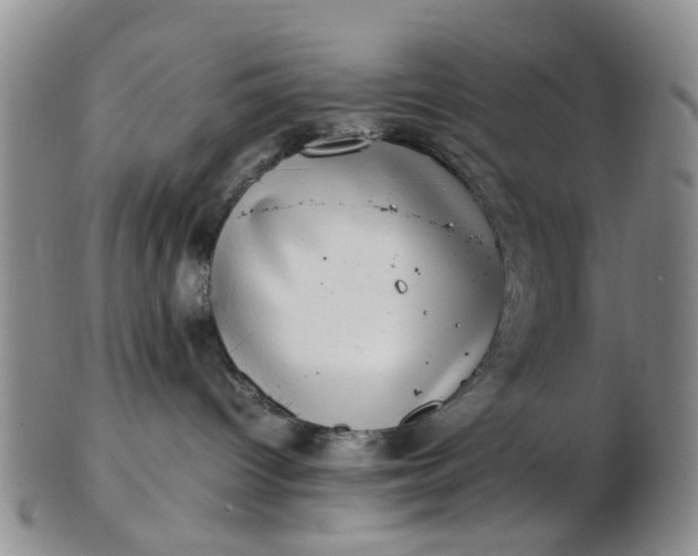 X0000103270096200809122146