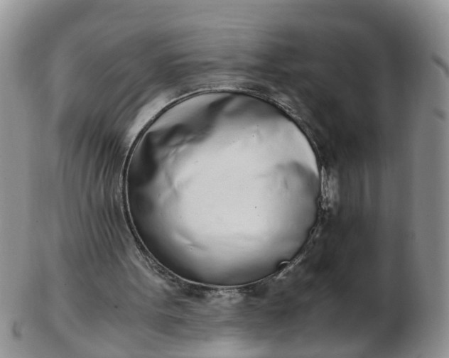 X0000103270099200809122145