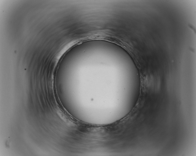 X0000103270100200809122145