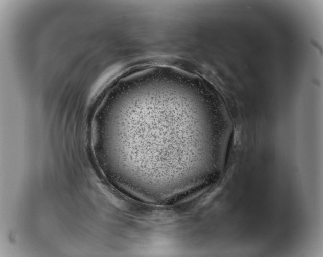 X0000103270101200809122145
