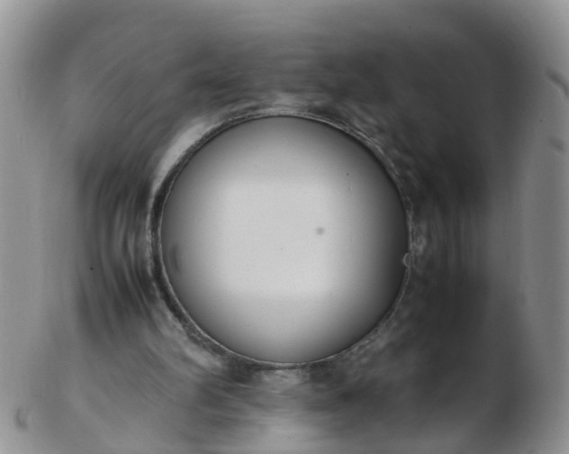 X0000103270102200809122145