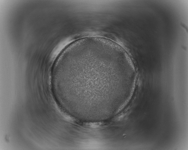 X0000103270103200809122145