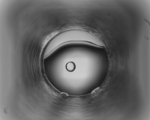 X0000103270104200809122145
