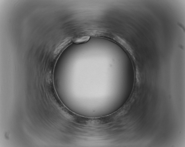 X0000103270105200809122145