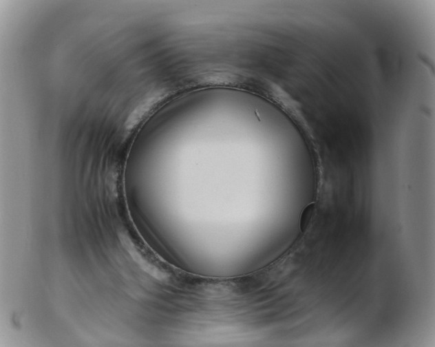 X0000103270106200809122145