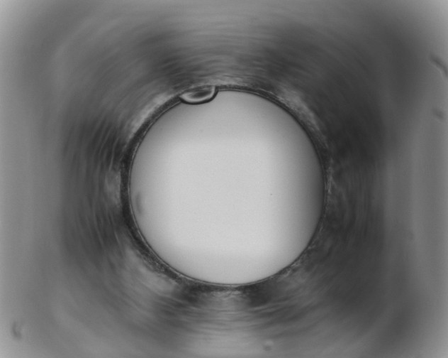 X0000103270108200809122145