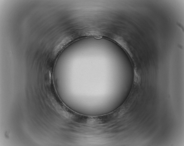 X0000103270109200809122145