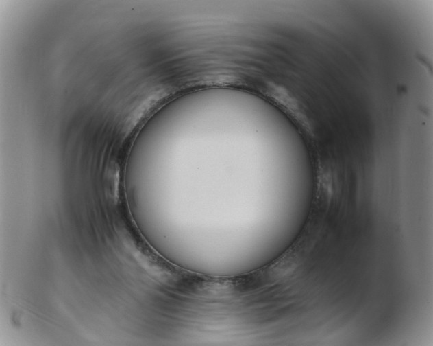 X0000103270110200809122145