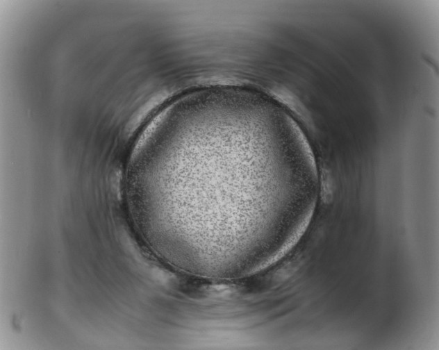 X0000103270111200809122145