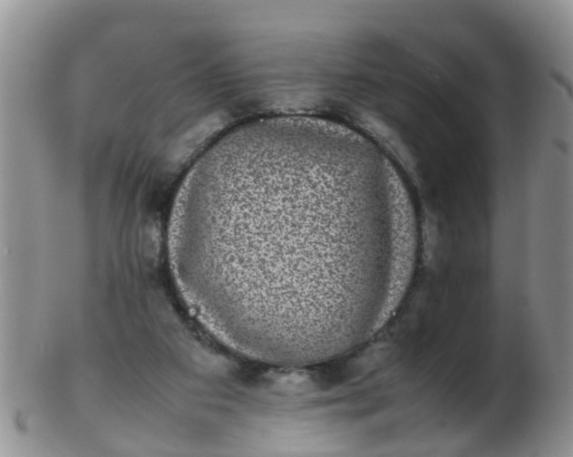 X0000103270113200809122145