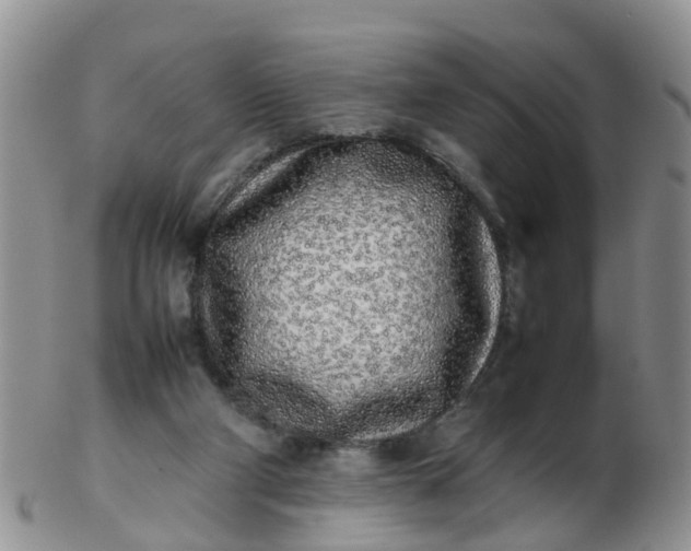 X0000103270114200809122145