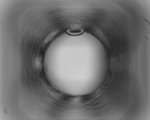 X0000103270116200809122145