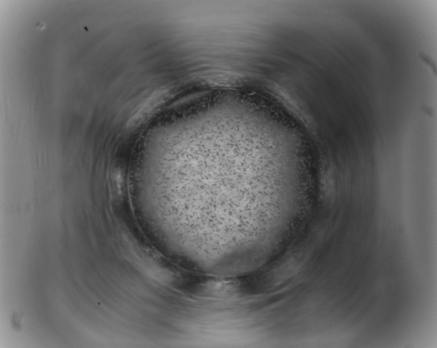 X0000103270117200809122144
