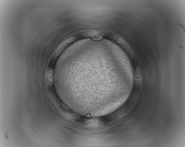 X0000103270119200809122144