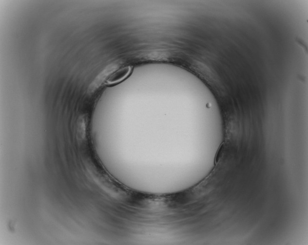 X0000103270120200809122144
