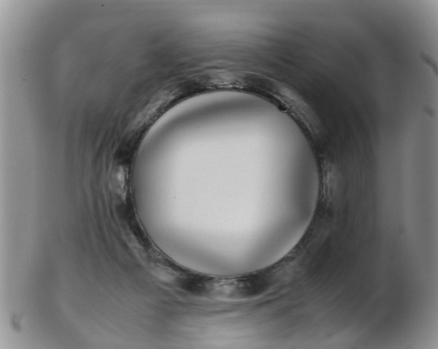 X0000103270121200809122144