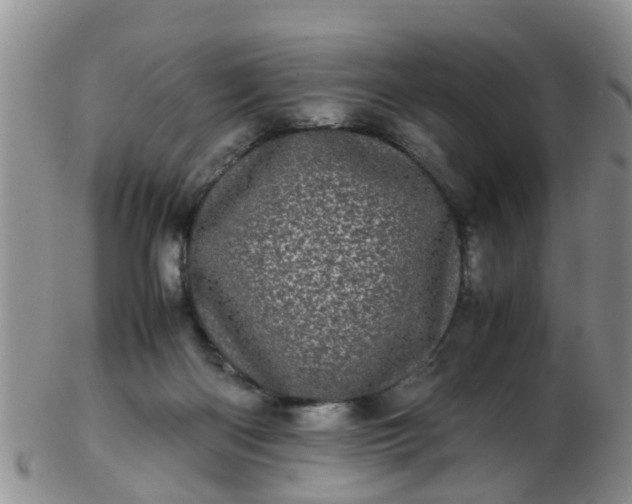 X0000103270122200809122144