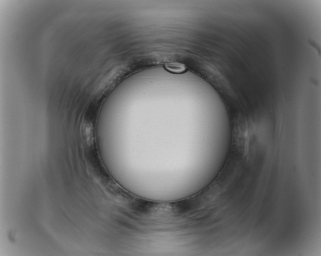 X0000103270123200809122144