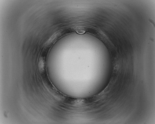 X0000103270124200809122144