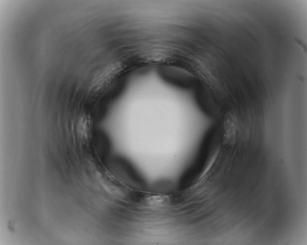 X0000103270126200809122144