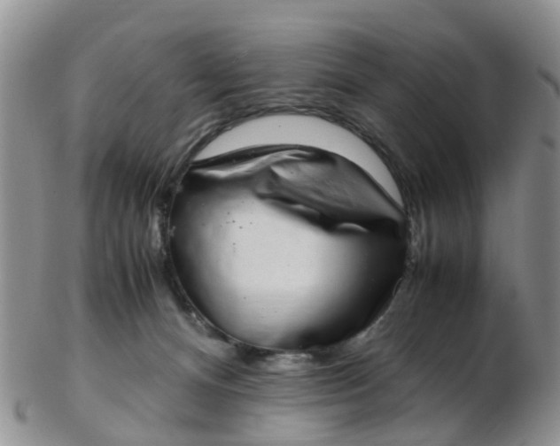 X0000103270128200809122144