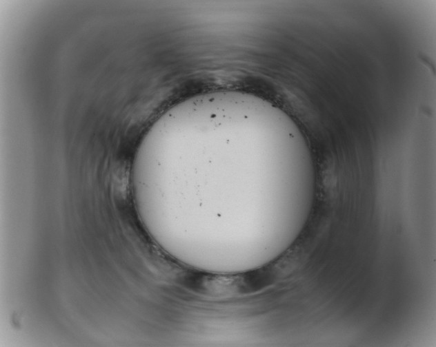 X0000103270129200809122144